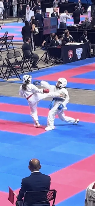 Global Martial Arts Picture 10