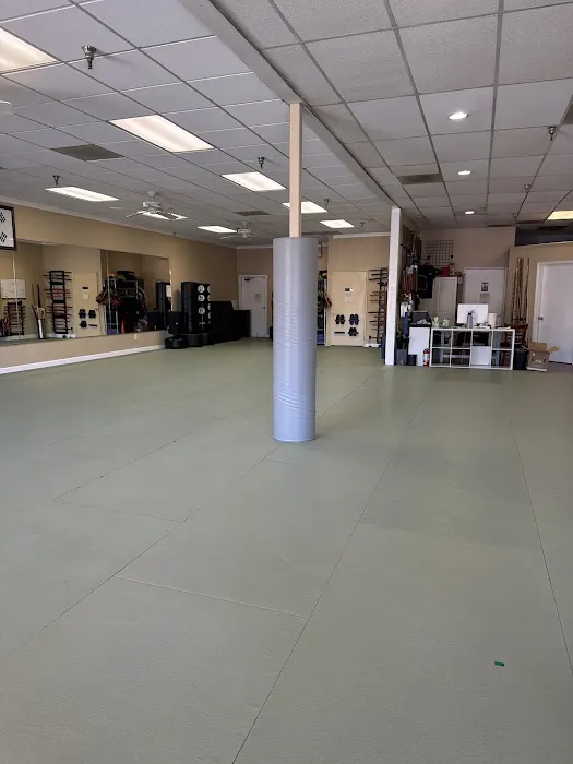 California Karate Academy Picture 2