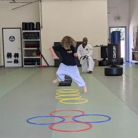 California Karate Academy ico