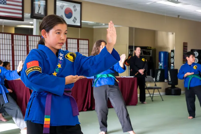 California Karate Academy Picture 7