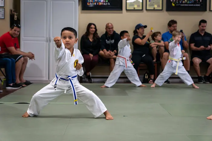 California Karate Academy Picture 5