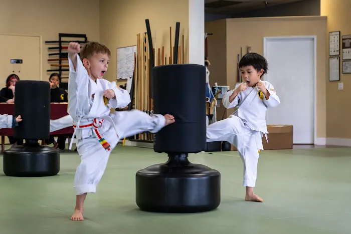 California Karate Academy Picture 4