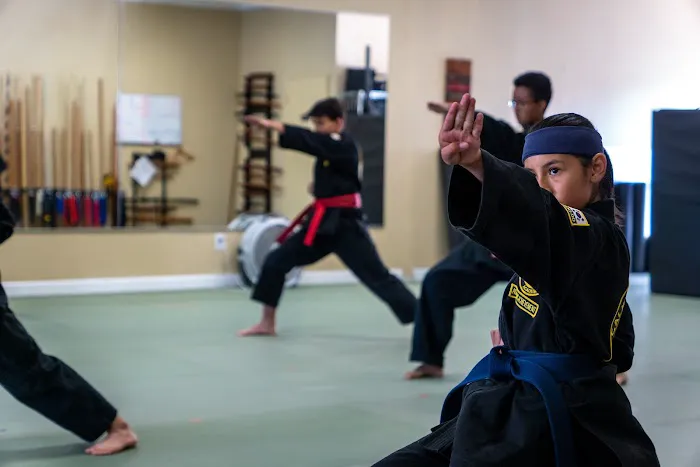 California Karate Academy Picture 10