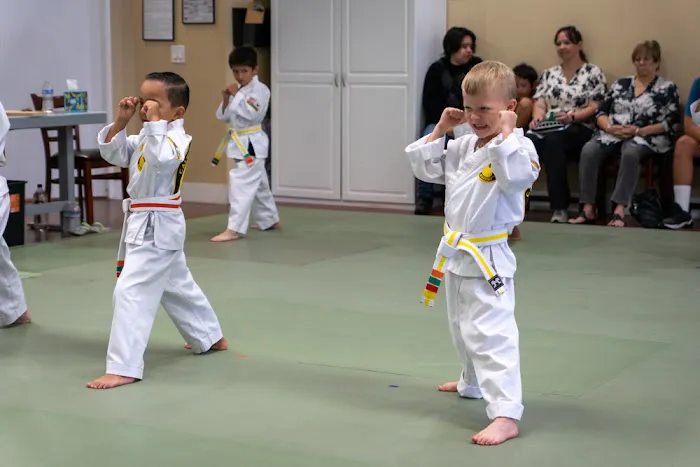 California Karate Academy Picture 9