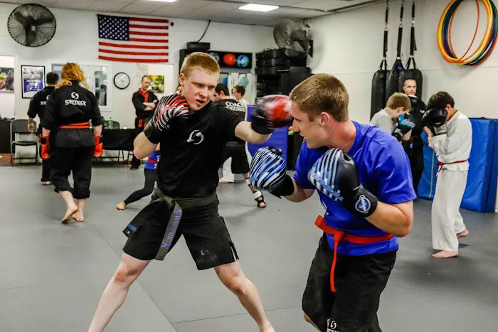 SwiftKick Martial Arts Carlsbad Picture 1