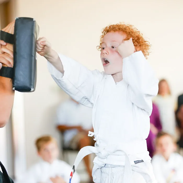 SwiftKick Martial Arts Carlsbad Picture 4