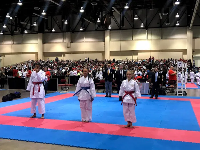 NRK Karate Picture 4