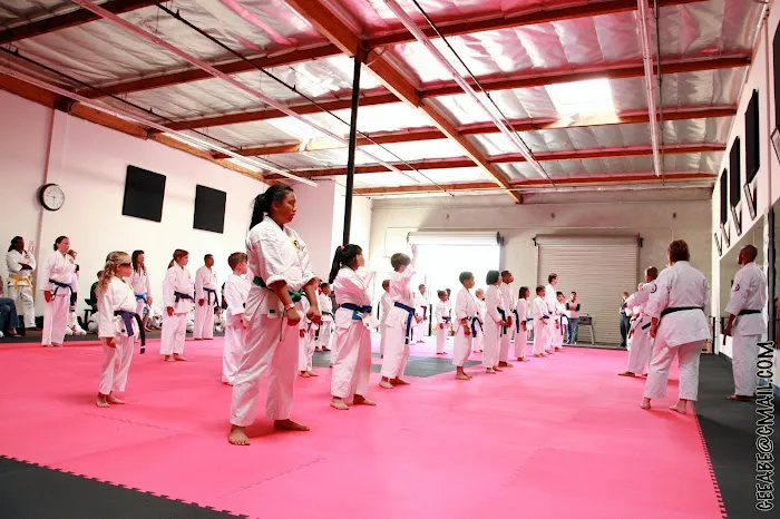 NRK Karate Picture 2
