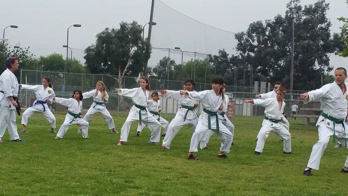 NRK Karate Picture 6