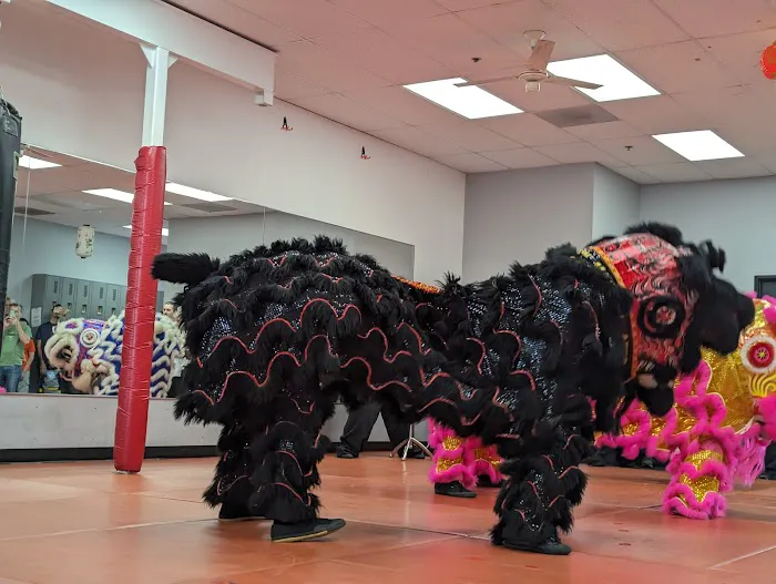 White Dragon Martial Arts - San Marcos Picture 2