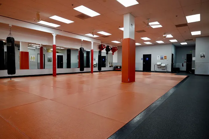 White Dragon Martial Arts - San Marcos Picture 4