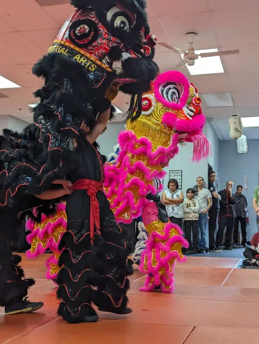 White Dragon Martial Arts - San Marcos Picture 8