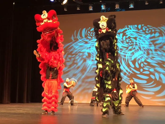 White Dragon Martial Arts - San Marcos Picture 10