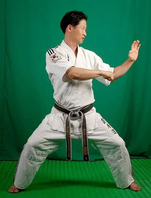 Hyun Kang Taekwondo Picture 3