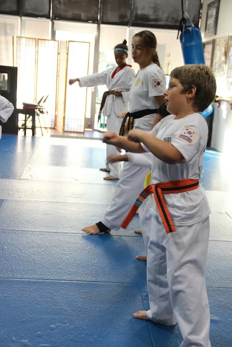 World Tae Kwon Do Academy Picture 1