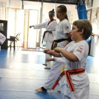 World Tae Kwon Do Academy ico