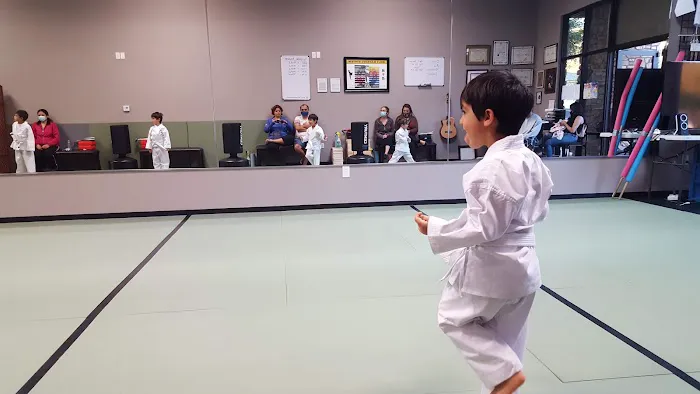 San Elijo Martial Arts Picture 4