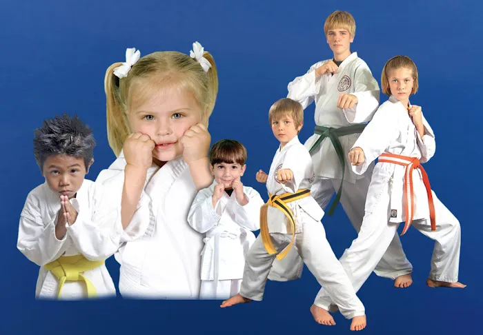 San Elijo Martial Arts Picture 8