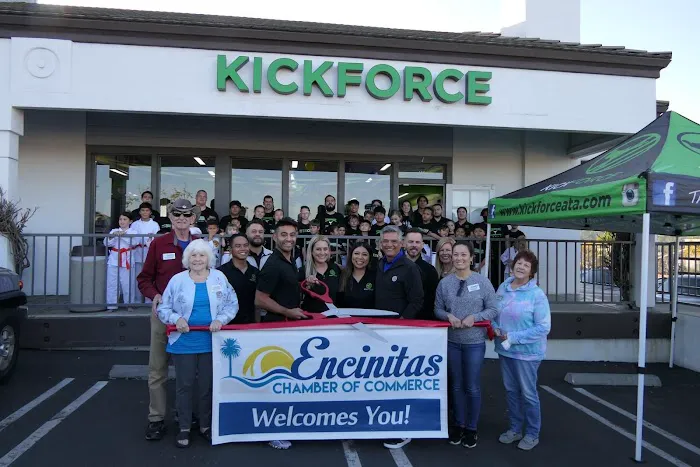 KickForce Martial Arts Picture 2