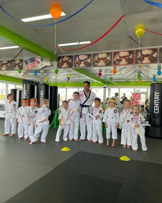 KickForce Martial Arts Picture 4