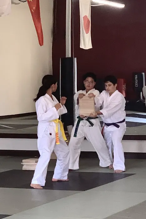 Eldred's School of Martial Arts Picture 7