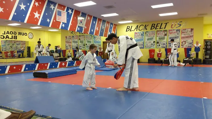 Black Belt USA Picture 2