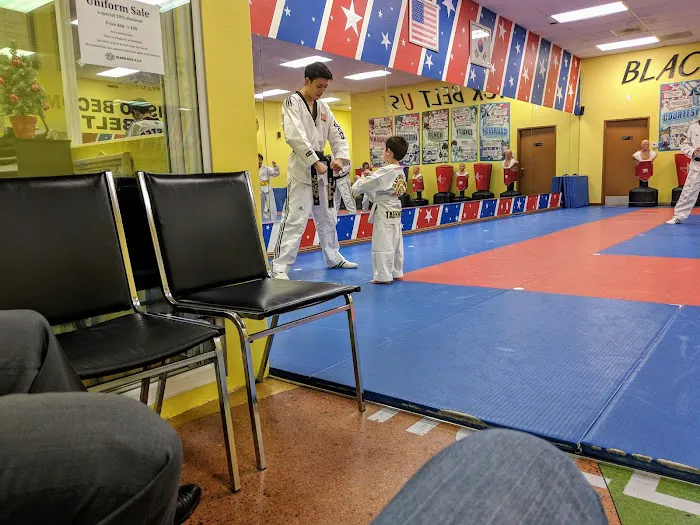 Black Belt USA Picture 1