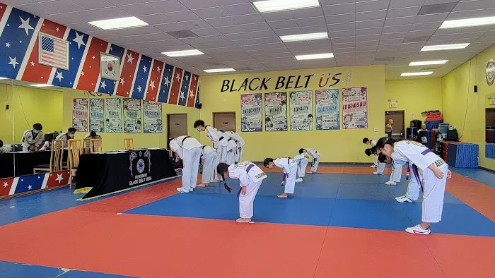 Black Belt USA Picture 3