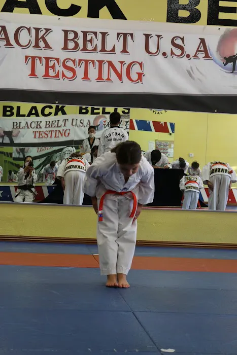 Black Belt USA Picture 5