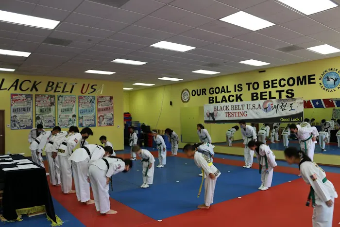 Black Belt USA Picture 7
