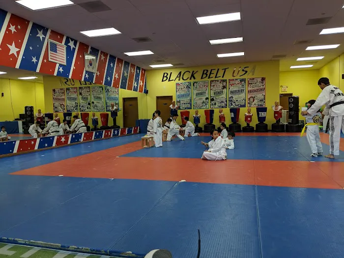 Black Belt USA Picture 4