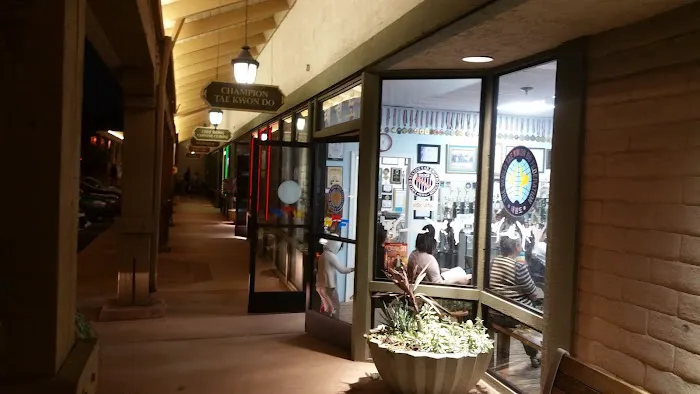 Champion Tae Kwon Do Academy Picture 2