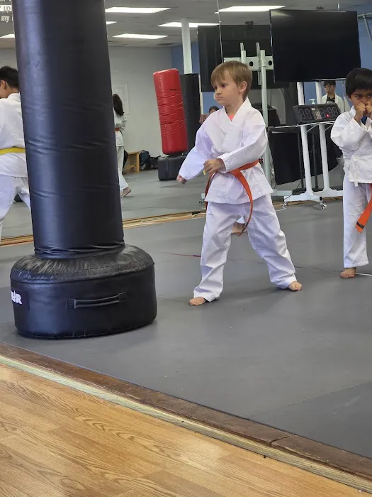 Family Karate Picture 5