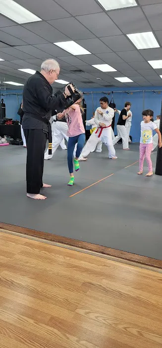 Family Karate Picture 3