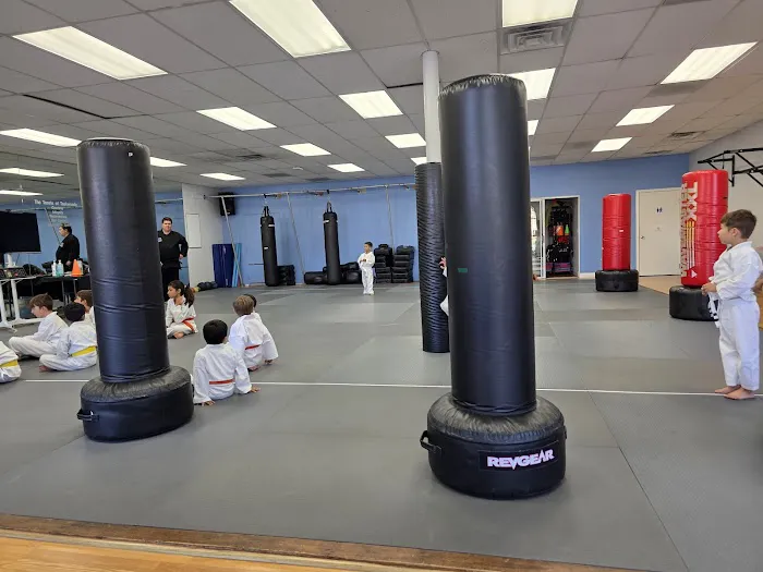 Family Karate Picture 2