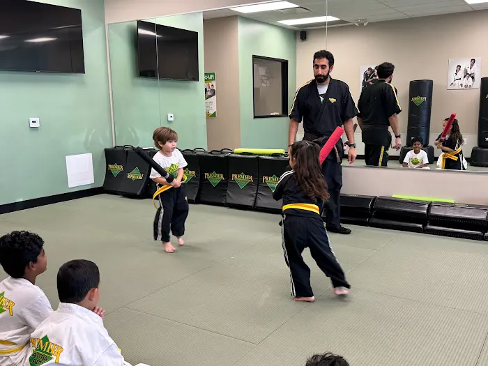 7 Spears Martial Arts Academy Picture 2