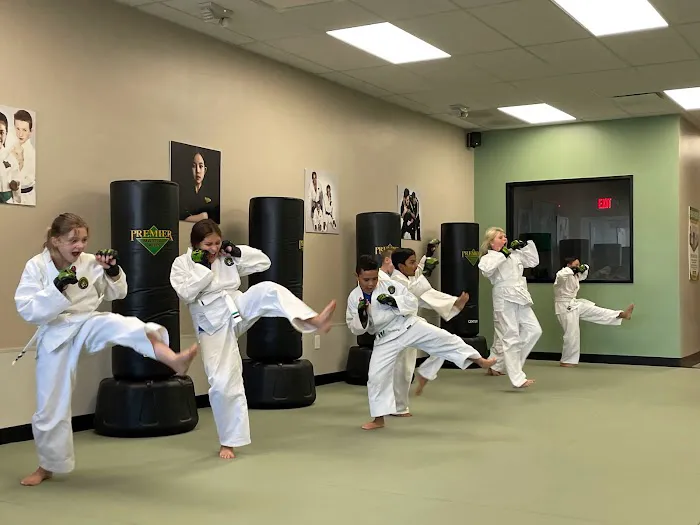7 Spears Martial Arts Academy Picture 10
