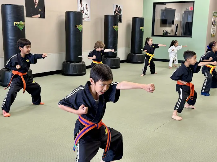 7 Spears Martial Arts Academy Picture 9