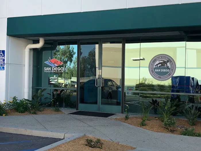 Team XSAMA School of Movement Picture 6