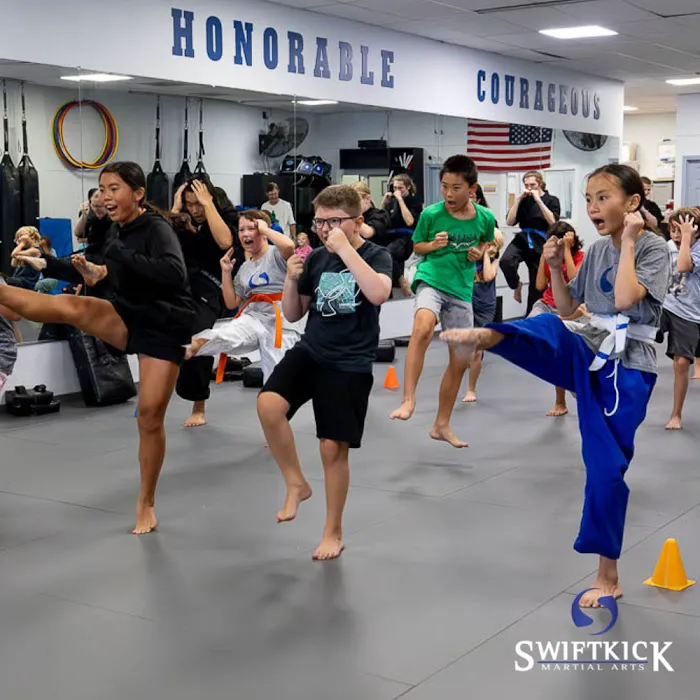 SwiftKick Martial Arts San Diego Picture 6