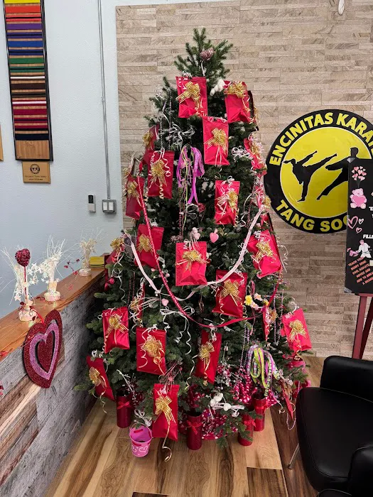 Encinitas Karate Picture 1