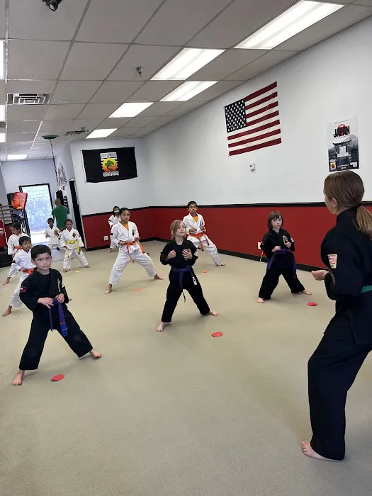 United Studios of Self Defense Picture 7