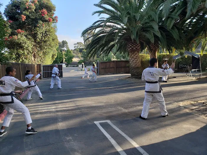 Center For Martial Arts Picture 1