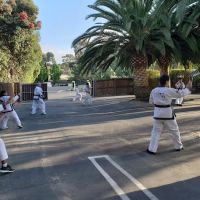 Center For Martial Arts ico