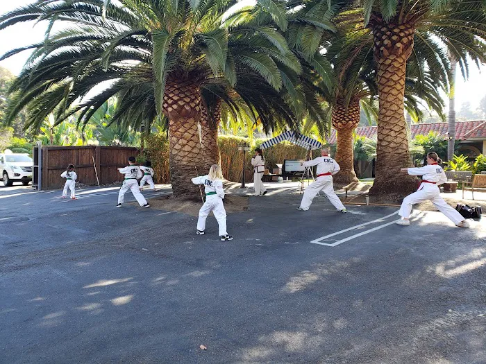 Center For Martial Arts Picture 2