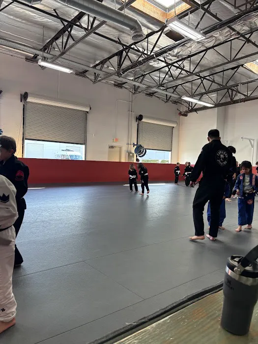 Carlsbad Jiu Jitsu Picture 1