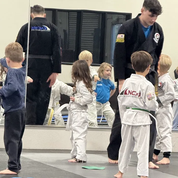 North County Martial Arts Picture 2