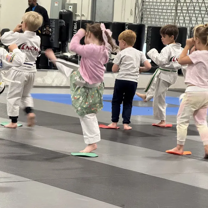 North County Martial Arts Picture 3