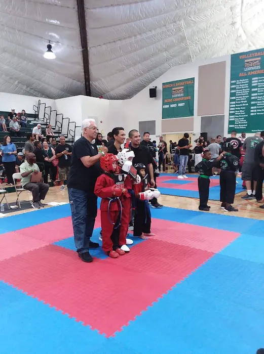 Martial Arts International Picture 4