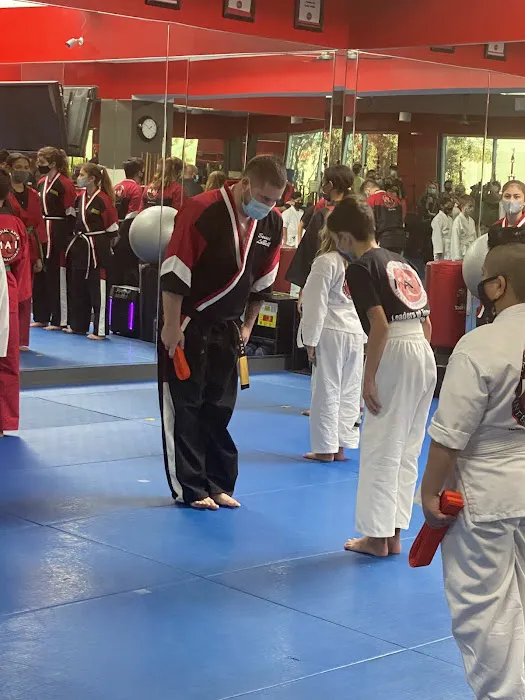 Martial Arts International Picture 9